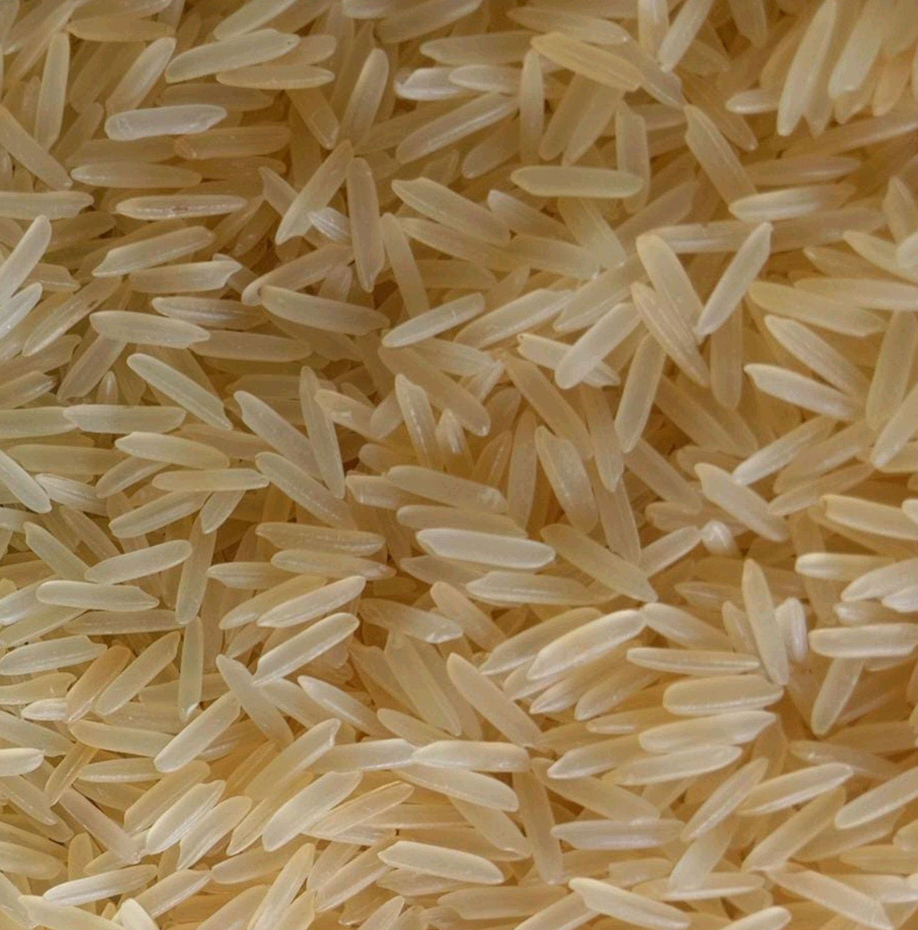 Basmati Rice